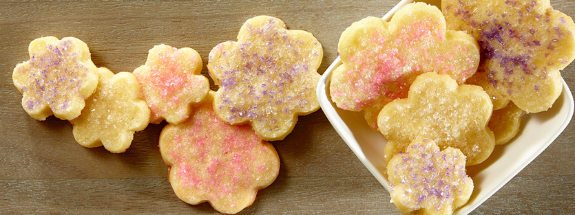 Festive Cream Cheese Sugar Cookies Recipe